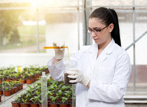 Εκτύπωση καμβά Biologist with test tube in greenhouse