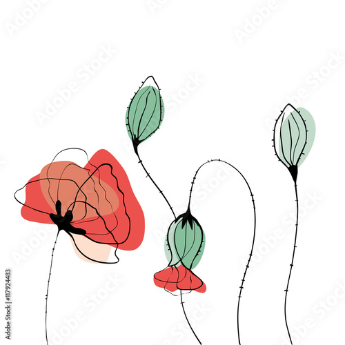 Fototapeta Naklejka Na Ścianę i Meble -  Poppy field in scandinavian style