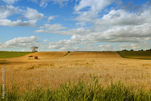 Little shed in a field