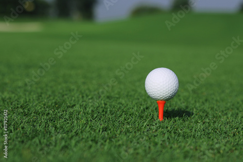 golf ball on a tee