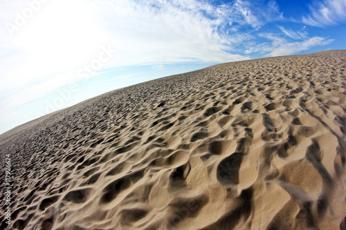 A sand dune in Denmark...the largest in the country.