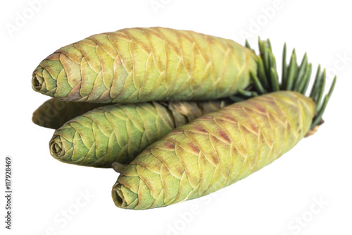 Closeup of a fir cones. Isolated on white background.