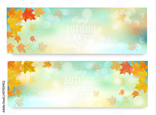Two abstract autumn banners with color leaves.Vector