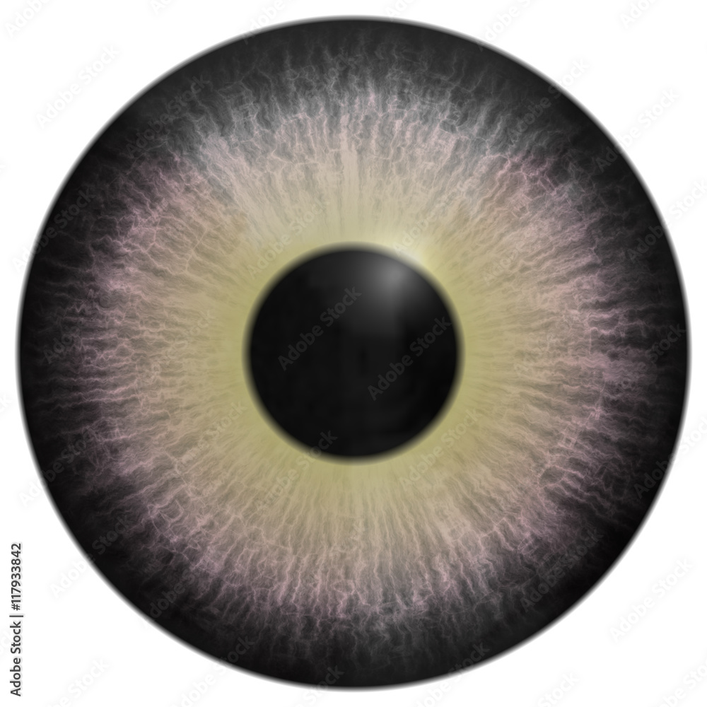 Eye iris generated hires texture Eye iris generated hires texture