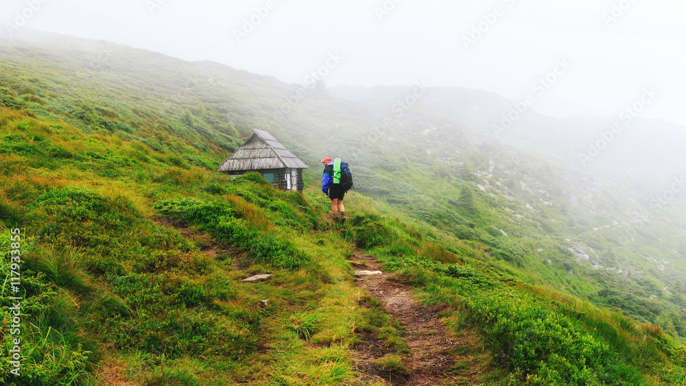 Fototapeta premium Tourist goes along mountain trail to the small wooden house on hill of ridge in mist, Carpathians, Ukraine.