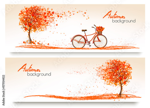 Autumn background with a tree and a bicycle. Vector