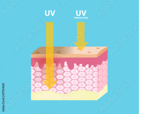 UV protection , uv vector on skin