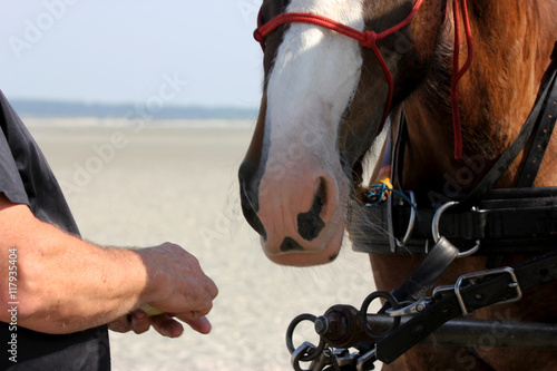 Foto complicité avec son cheval