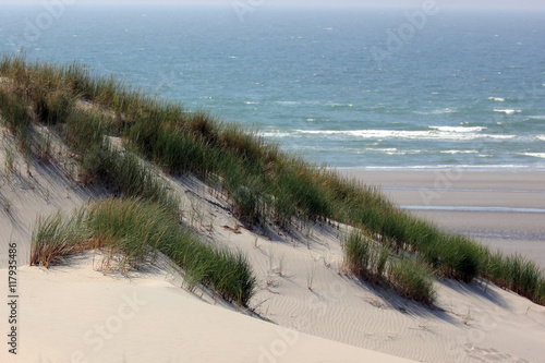 Fototapeta Naklejka Na Ścianę i Meble -  paysage de dunes