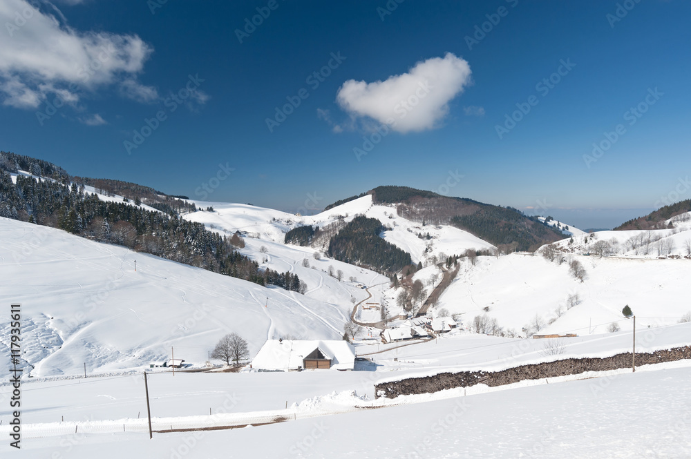 Black Forest in the winter