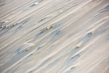 The dune of Pyla, Europe's highest dune