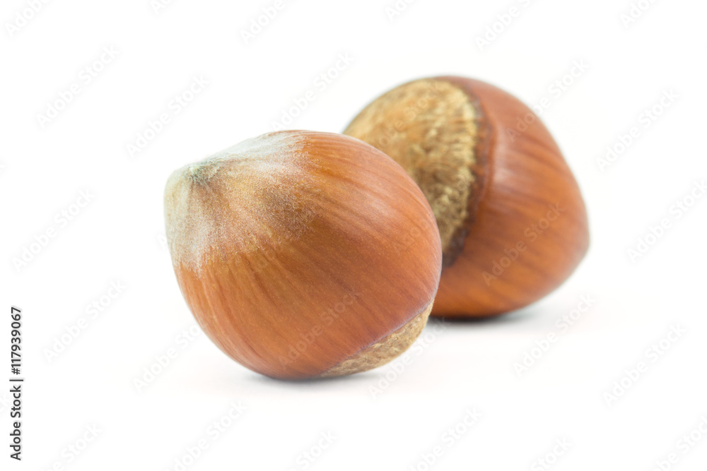 Isolated hazelnuts on white background, food Isolated hazelnuts on white background, food