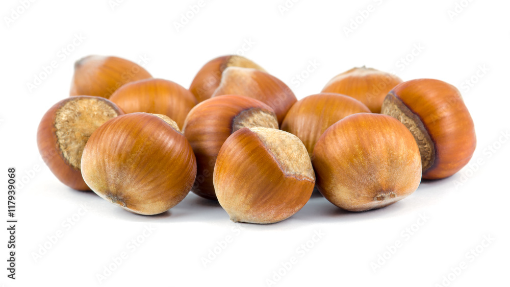 Isolated hazelnuts on white background, food Isolated hazelnuts on white background, food