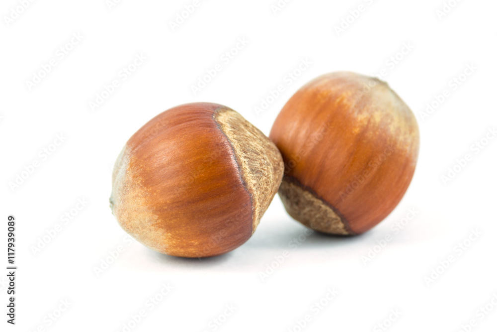 Isolated hazelnuts on white background, food Isolated hazelnuts on white background, food