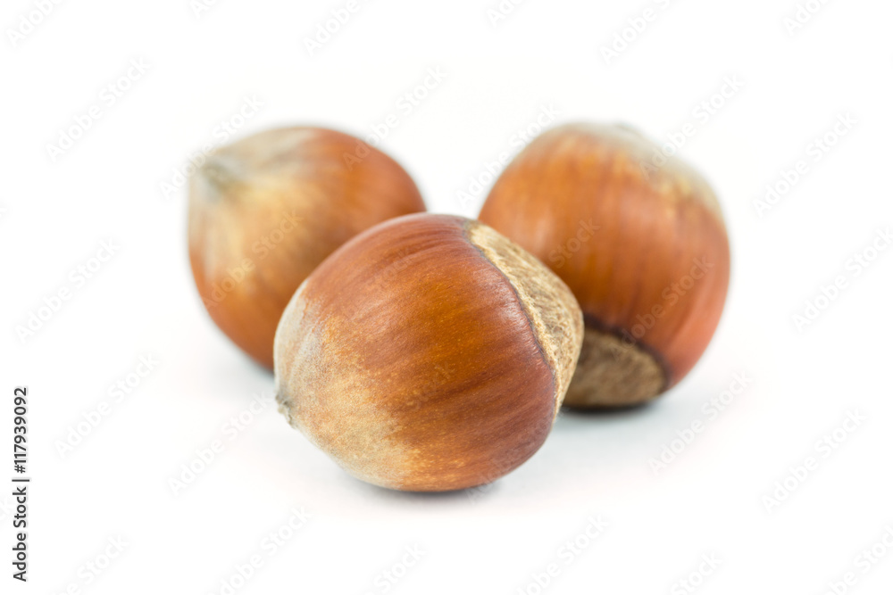 Isolated hazelnuts on white background, food Isolated hazelnuts on white background, food