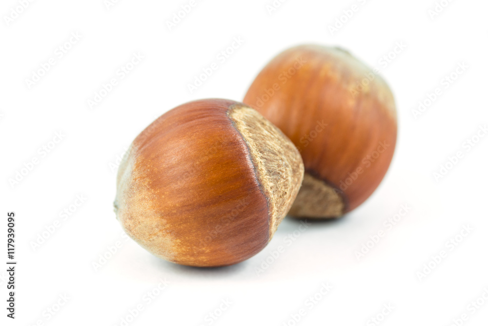Isolated hazelnuts on white background, food Isolated hazelnuts on white background, food