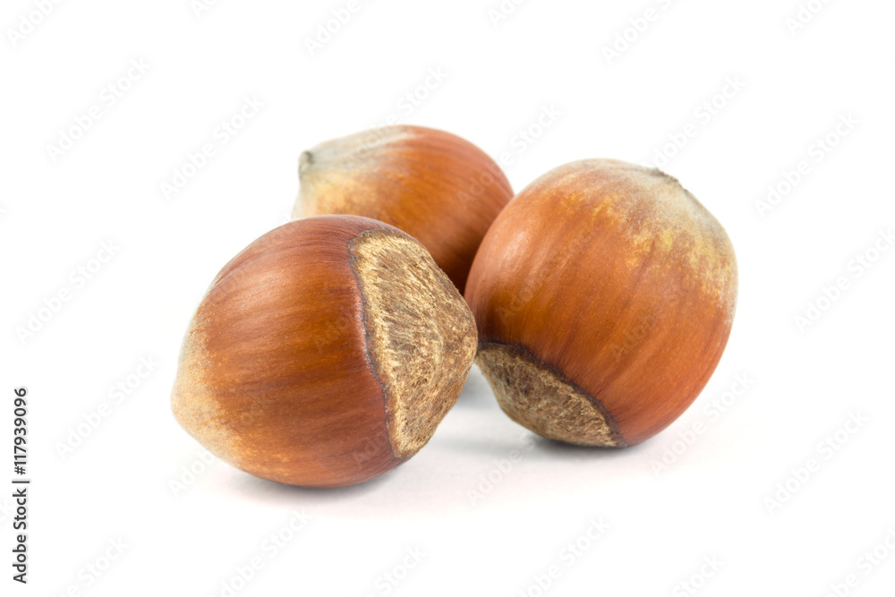 Isolated hazelnuts on white background, food Isolated hazelnuts on white background, food
