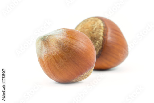 Isolated hazelnuts on white background, food