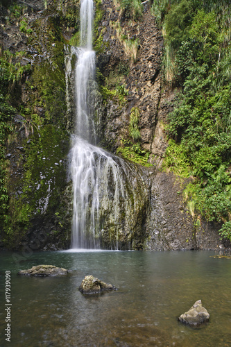 Kitekite Falls  Waitakere Ranges Regional Park  New Zealand