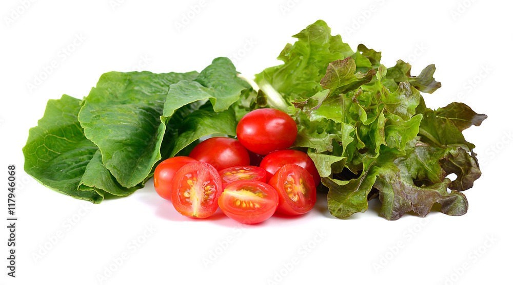 Fresh lettuce and tomato isolated on white background Fresh lettuce and tomato isolated on white background