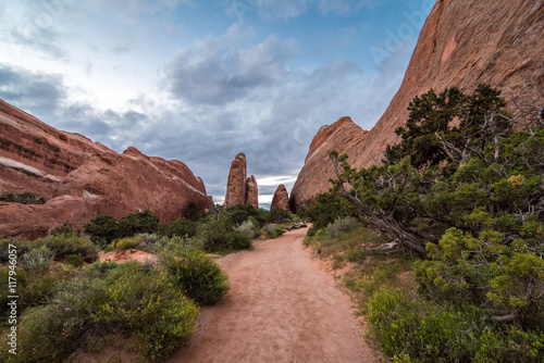 A path among desert rock formations.