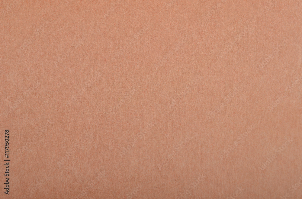 Fototapeta premium Cardboard paper background