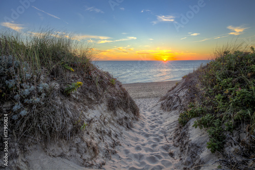 A path through the dunes to Race Point Beach, on Cape Cod near Provience Town MA. photo