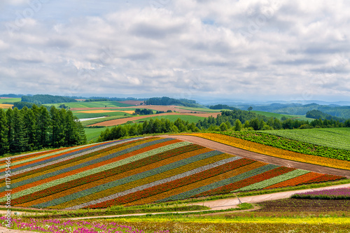 Shikisai Farm  