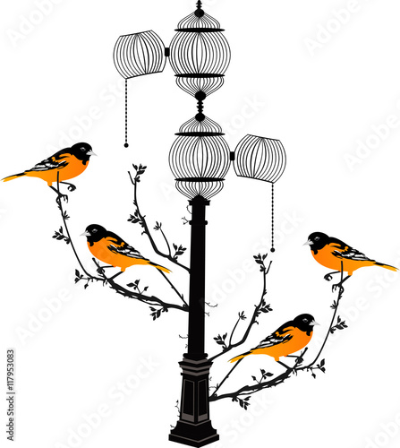 lamppost with cages and small branches