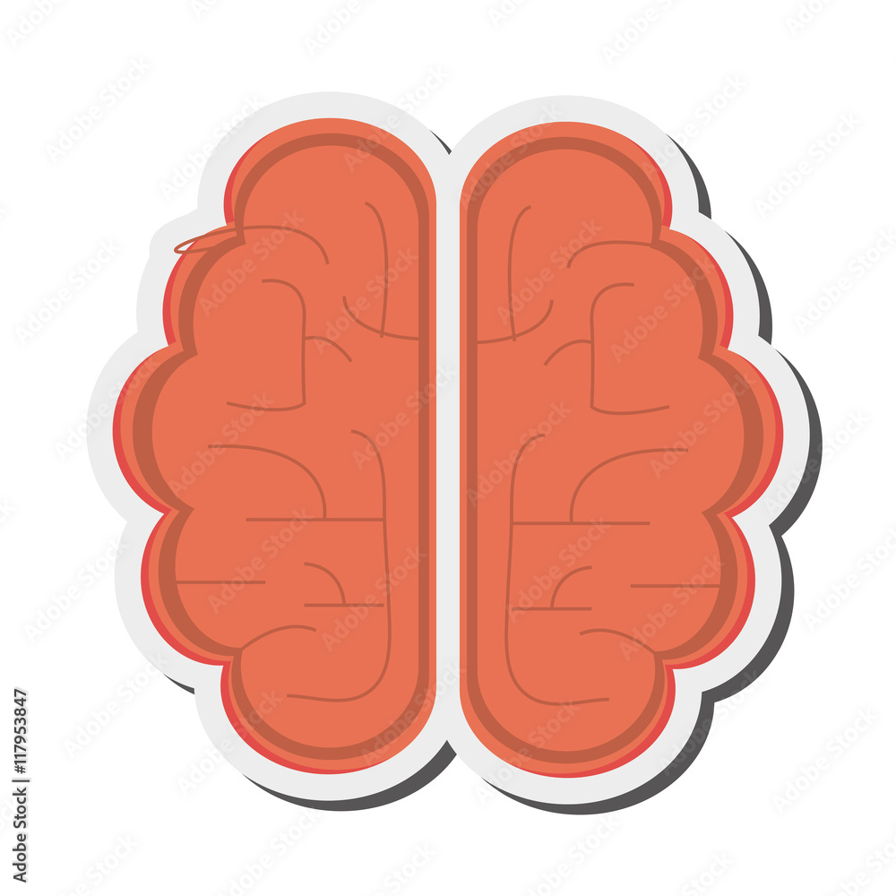 flat design single brain icon vector illustration flat design single brain icon vector illustration