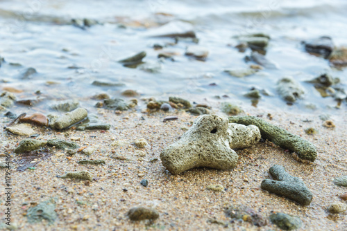 Coral Rubble formed from old dead corals that is washed up onto