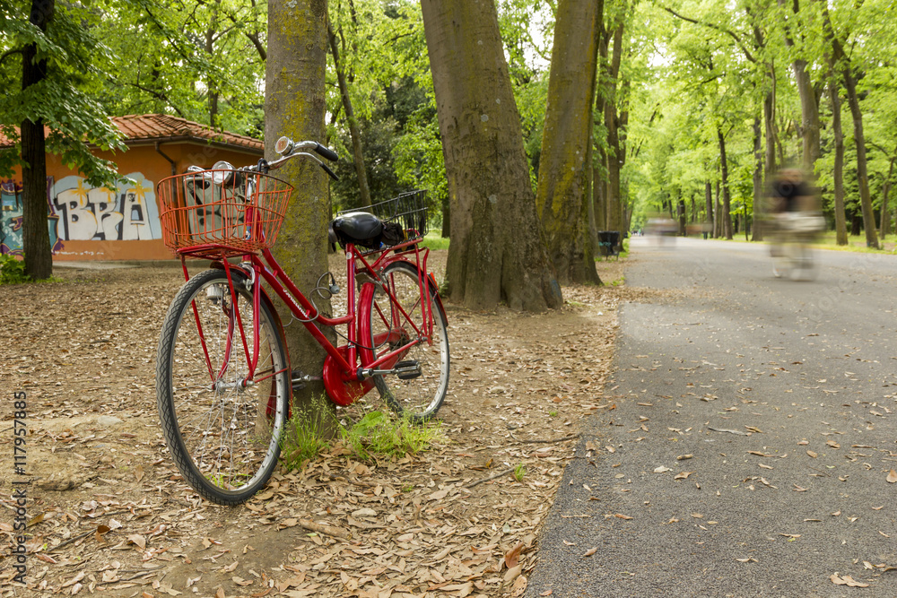 Fototapeta premium vintage bicycle in the park