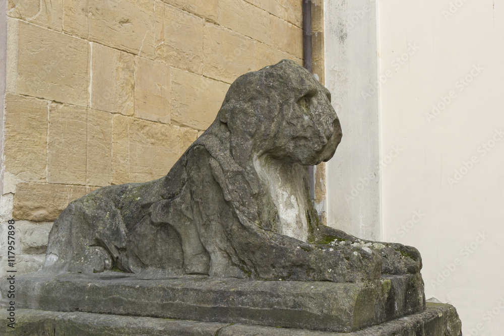 florence lion statue italy