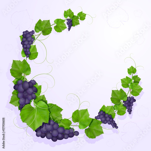 Grapes with leaves background