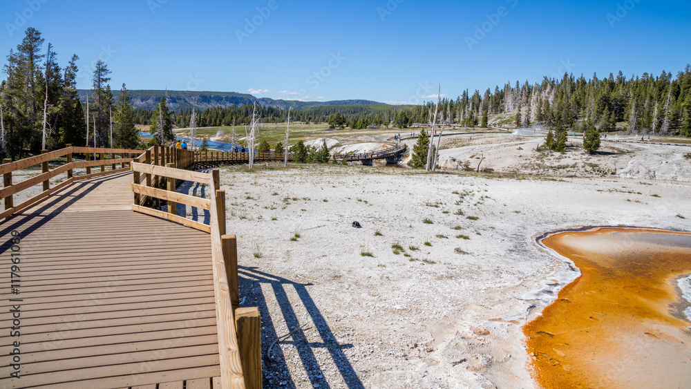 Fototapeta premium Wooden walkway among the geysers and trees. Upper Geyser Basin, Yellowstone National Park, Wyoming