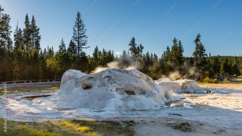 Grotto Geyser has an unusual shaped formation. The eruptions consist of a series of powerful splashes and steam. Upper Geyser Basin, Yellowstone National Park, Wyoming