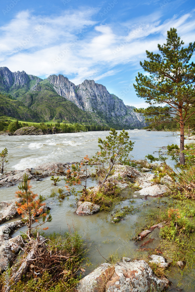 Beautiful mountain landscape in the summer. Altai Mountains, Rus