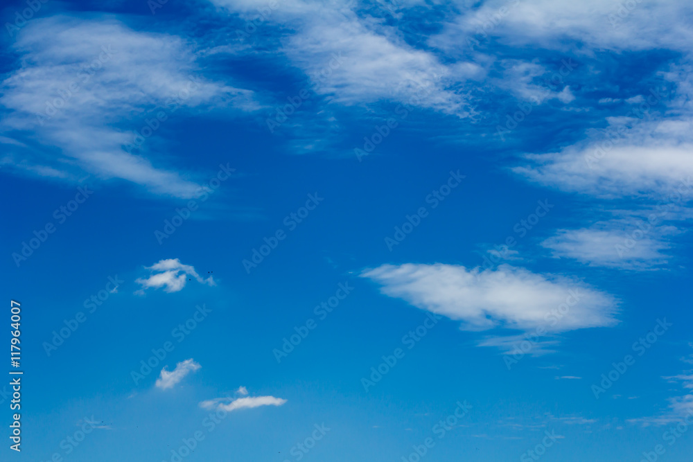 Cloud with sky. Cloud with sky.