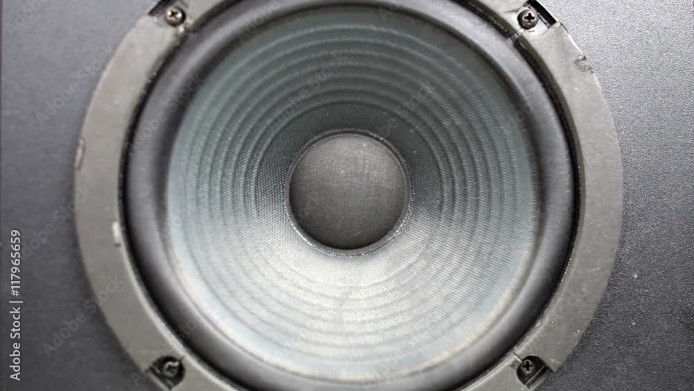 speaker cone pumping from bass sound speaker cone pumping from bass sound