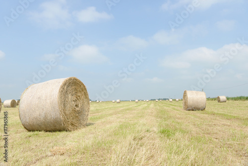 stubble field with hay bales
