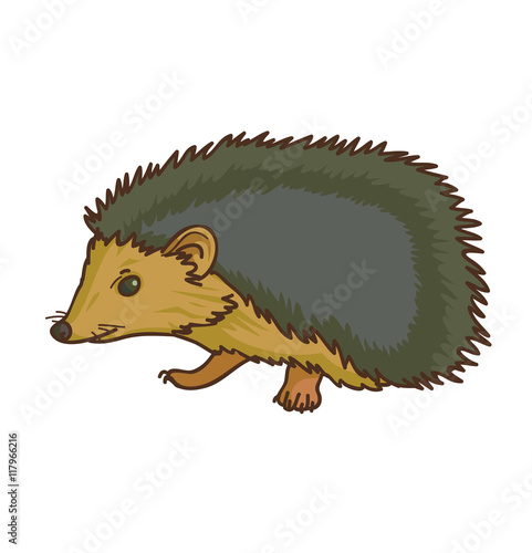 Hedgehog. Isolated on white. Vector