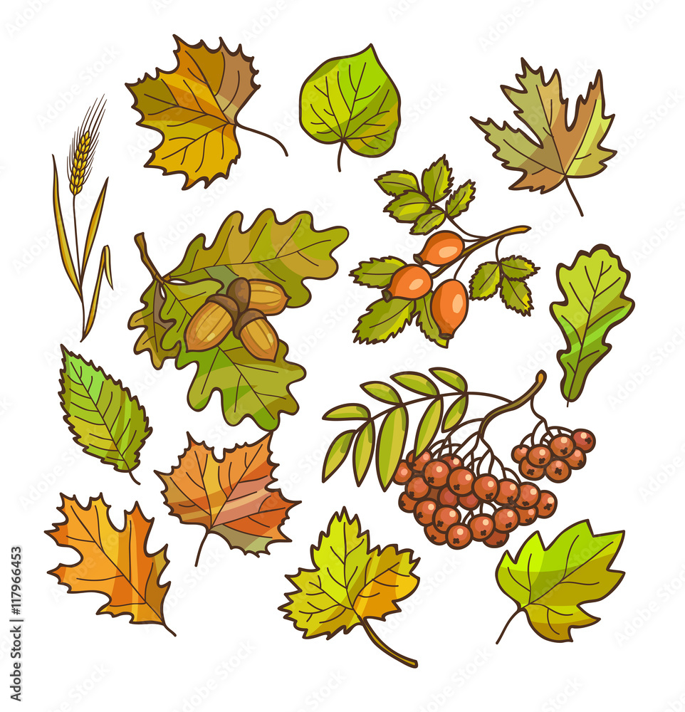 Autumn or fall icon and objects set for design.