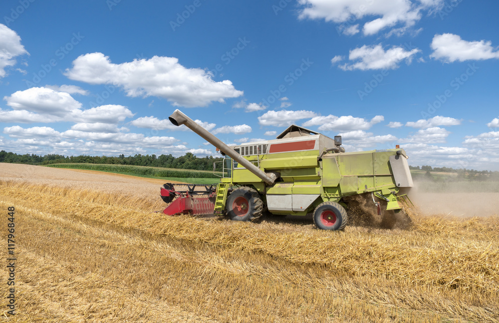 Fototapeta premium Mähdrescher bei der Ernte auf einem Getreidefeld 