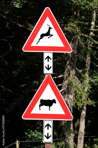 road signs near the forest attention crossing animals cow and de