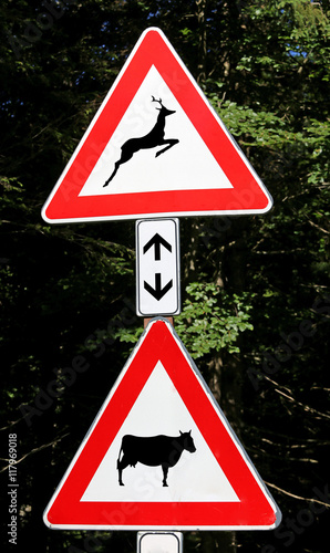 road signs near the wood danger crossing animals photo