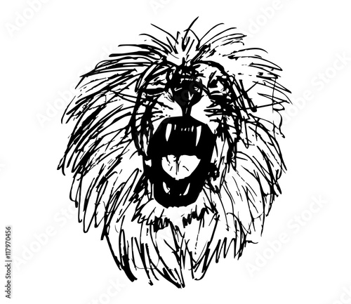 lion wild design