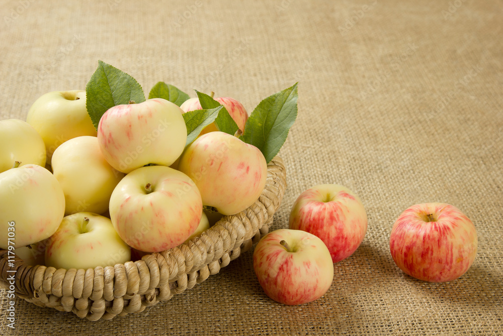 ripe apples in a beautiful wicker basket ripe apples in a beautiful wicker basket
