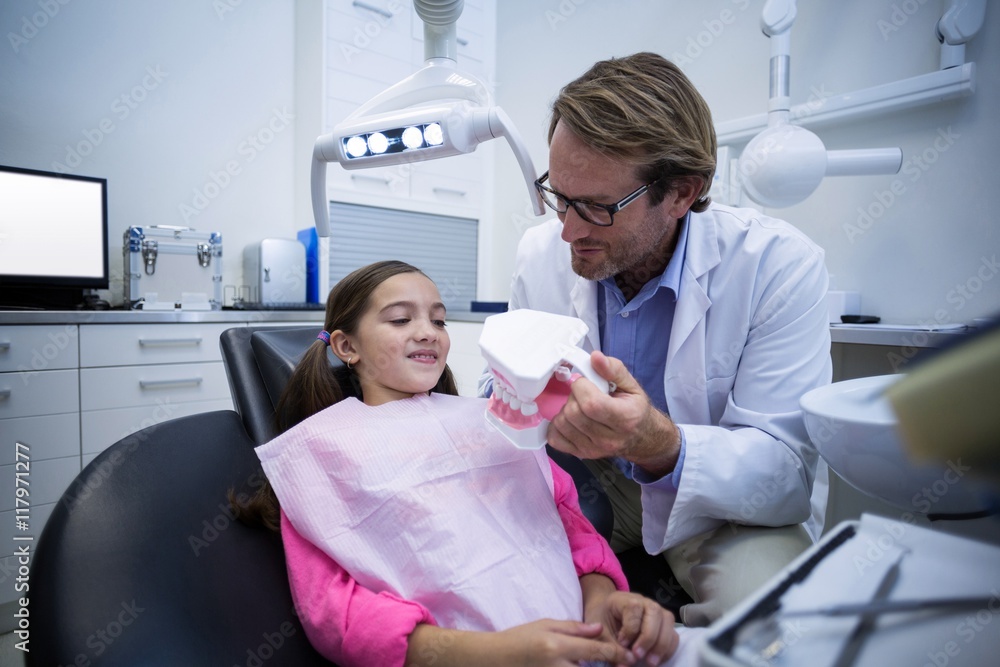 Obraz premium Dentist showing model teeth to patient