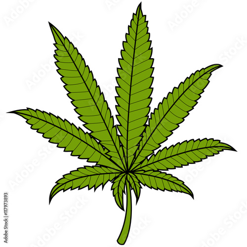 Marijuana leaf. Vector illustration