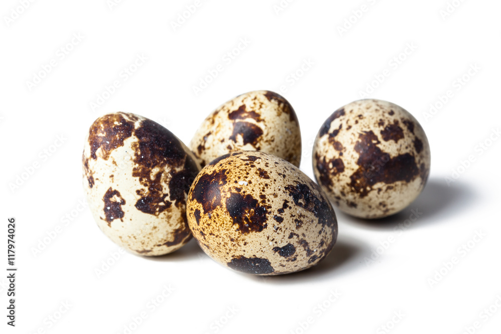 Quail eggs are isolated on a white background Quail eggs are isolated on a white background
